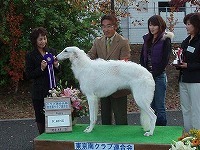 ドッグショー 写真28