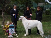ドッグショー 写真29