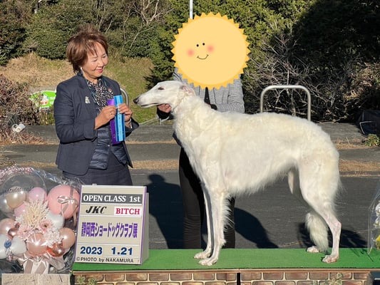 ドッグショー 写真30