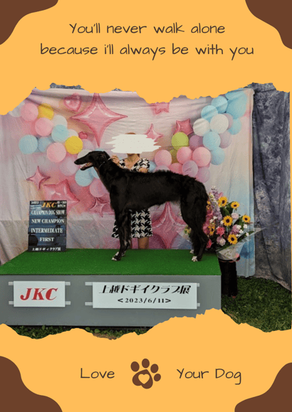 ドッグショー 写真4